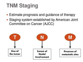 Non small cell lung cancer | PPTX