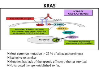 Non small cell lung cancer | PPTX