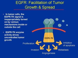 Non small cell lung cancer | PPTX