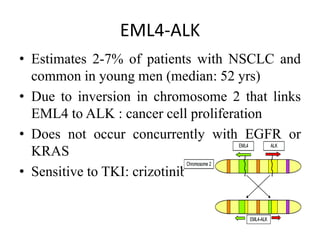 Non small cell lung cancer | PPTX
