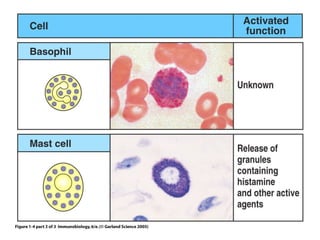 Non Specific Immune Defense | PPT