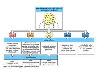 Non Specific Pathway Non Specific Immune Defense | PPT