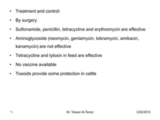 3/22/2015Dr. Yasser Al-Tarazi14
• Treatment and control:
• By surgery
• Sulfonamide, penicillin, tetracycline and erythromycin are effective
• Aminoglycoside (neomycin, gentamycin, tobramycin, amikacin,
kanamycin) are not effective
• Tetracycline and tylosin in feed are effective
• No vaccine available
• Toxoids provide some protection in cattle
 