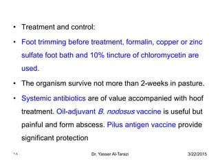 • Treatment and control:
• Foot trimming before treatment, formalin, copper or zinc
sulfate foot bath and 10% tincture of chloromycetin are
used.
• The organism survive not more than 2-weeks in pasture.
• Systemic antibiotics are of value accompanied with hoof
treatment. Oil-adjuvant B. nodosus vaccine is useful but
painful and form abscess. Pilus antigen vaccine provide
significant protection
3/22/2015Dr. Yasser Al-Tarazi18
 