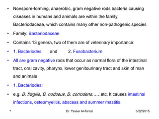 3/22/2015Dr. Yasser Al-Tarazi3
• Nonspore-forming, anaerobic, gram negative rods bacteria causing
diseases in humans and animals are within the family
Bacteriodaceae, which contains many other non-pathogenic species
• Family: Bacteriodaceae
• Contains 13 genera, two of them are of veterinary importance:
• 1. Bacteriodes and 2. Fusobacterium
• All are gram negative rods that occur as normal flora of the intestinal
tract, oral cavity, pharynx, lower genitourinary tract and skin of man
and animals
• 1. Bacteriodes:
• e.g. B. fragilis, B. nodosus, B. corrodens……etc. It causes intestinal
infections, osteomyelitis, abscess and summer mastitis
 