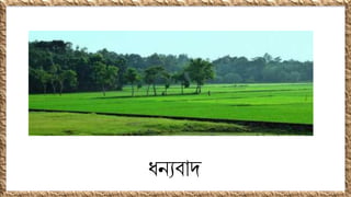 ধনযবোদ
 