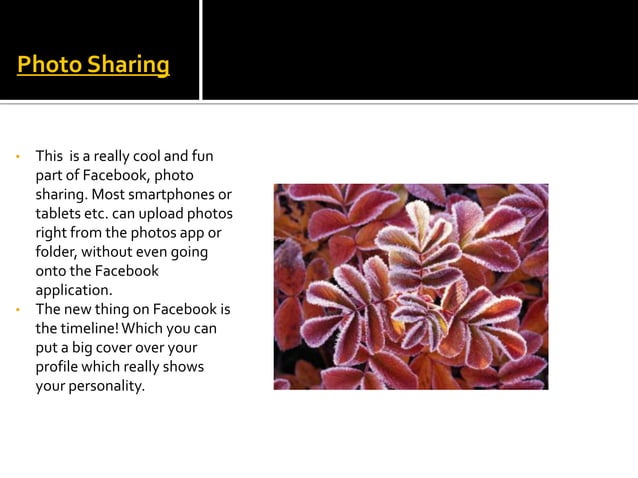 NON TECHNICAL PRESENTATION PDF visual data 5
