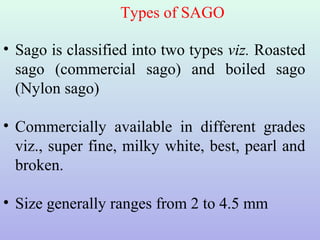 Ultrasound and Ozone processing techniques in cassava starch and Sago ...