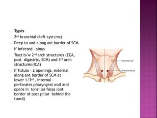 Types
2nd branchial cleft cyst(mc)
Deep to and along ant border of SCM
If infected – sinus
Tract b/w 2nd arch structures (ECA,
post digastric, SCM) and 3rd arch
structures(ICA)
If fistula – 2 openings, external
along ant border of SCM at
lower 1/3rd , internal –
perforates pharyngeal wall and
opens in tonsillar fossa (ant
border of post pillar behind the
tonsil)
 
