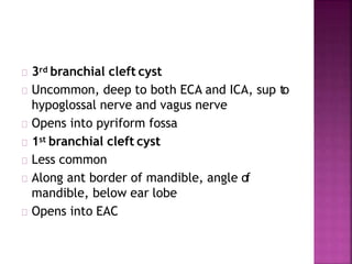 3rd branchial cleft cyst
Uncommon, deep to both ECA and ICA, sup to
hypoglossal nerve and vagus nerve
Opens into pyriform fossa
1st branchial cleft cyst
Less common
Along ant border of mandible, angle of
mandible, below ear lobe
Opens into EAC
 