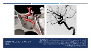 Non-traumatic Vasculogenic Lesions of the Brain | PPTX