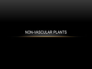 NON-VASCULAR PLANTS
 