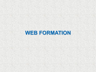 WEB FORMATION
 