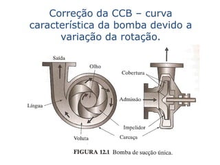 Correção da CCB – curva
característica da bomba devido a
      variação da rotação.
 