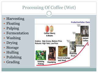 Processing Of Coffee (Wet)
 Harvesting
 Floating
 Pulping
 Fermentation
 Washing
 Drying
 Storage
 Hulling
 Polishing
 Grading
 