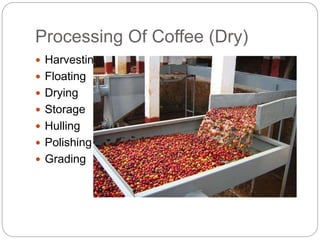 Processing Of Coffee (Dry)
 Harvesting
 Floating
 Drying
 Storage
 Hulling
 Polishing
 Grading
 
