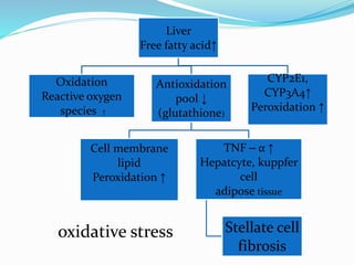 Liver
Free fatty acid↑
Oxidation
Reactive oxygen
species ↑
Antioxidation
pool ↓
(glutathione)
Cell membrane
lipid
Peroxidation ↑
TNF – α ↑
Hepatcyte, kuppfer
cell
adipose tissue
Stellate cell
fibrosis
CYP2E1,
CYP3A4↑
Peroxidation ↑
oxidative stress
 