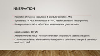 INNERVATION
• Regulation of mucosal vasculature & glandular secretion- ANS
• Sympathetic --> NE & neuropeptide Y--> VC nasal musculature (decongestion)
• Parasympathetic-->ACh, NE & VIP--> increases nasal gland secretion
• Nasal sensation: 5th CN
• Afferent ethmoidal nerve--> sensory innervation to epithelium, vessels and glands
• C fibres(unspecialised afferent sensory fibres) react to pain & temp changes & osmalarity-
most imp in NAR
 