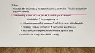 C fibres
• Stimulated by inflammatory mediators(histamine, bradykinin)--> involved in centrally
mediated reflexes.
• Stimulated by irritants: nicotine, smoke, formaldehyde & capsaicin
stimulated--> C fibres depolarise -->
--> release neuropeptides(substance P, calcitonin gene- related peptide)
--> increases vascular permeability & submucosal gland release
--> acute stimulation of glandular/endothelial & epitheial cells
--> Sensation of itching, rhinorrhea & burning
 