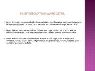 Level 1  includes the general ridge flow and pattern configuration to include information enabling orientation, core and delta location, and distinction of finger versus palm.  Level 2  detail includes formations, defined as a ridge ending, bifurcation, dot, or combinations thereof. The relationship of Level 2 detail enables individualization.  Level 3  detail includes all dimensional attributes of a ridge, such as ridge path deviation, width, shape, pores, edge contour, incipient ridges, breaks, creases, scars and other permanent details.  