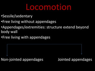 Locomotion
•Sessile/sedentary
•Free living without appendages
•Appendages/extremities: structure extend beyond
body wall
•Free living with appendages
Non-jointed appendages Jointed appendages
 