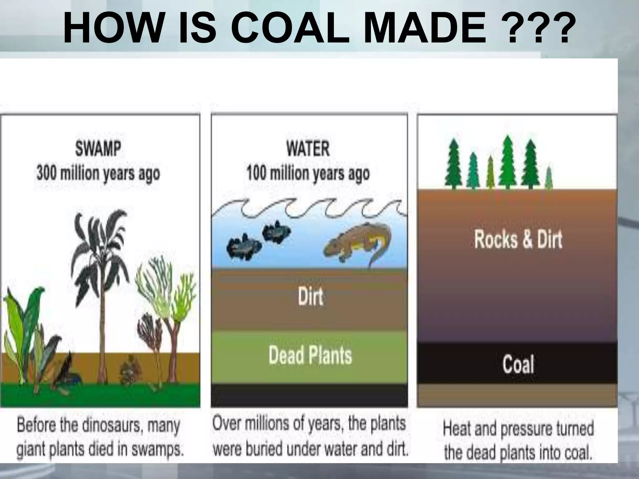 HOW IS COAL MADE ???
 