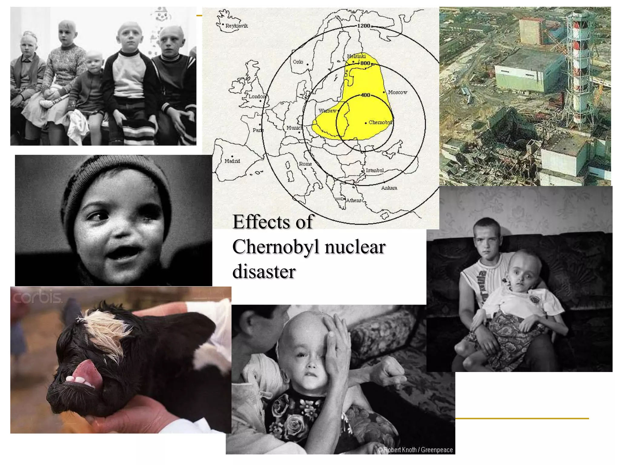 Effects of
Chernobyl nuclear
disaster
 