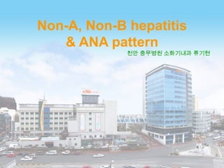 Non-A, Non-B hepatitis
& ANA pattern

천안 충무병원 소화기내과 류기현

 