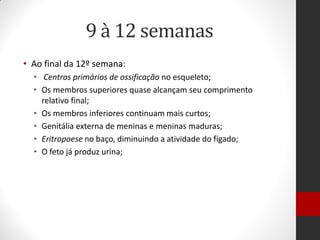 9 à 12 semanas
• Ao final da 12º semana:
• Centros primários de ossificação no esqueleto;
• Os membros superiores quase alcançam seu comprimento
relativo final;
• Os membros inferiores continuam mais curtos;
• Genitália externa de meninas e meninas maduras;
• Eritropoese no baço, diminuindo a atividade do fígado;
• O feto já produz urina;
 