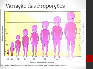 Variação das Proporções
 