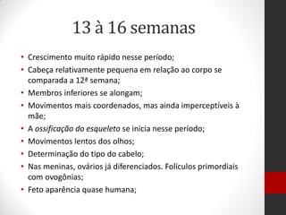13 à 16 semanas
• Crescimento muito rápido nesse período;
• Cabeça relativamente pequena em relação ao corpo se
comparada a 12ª semana;
• Membros inferiores se alongam;
• Movimentos mais coordenados, mas ainda imperceptíveis à
mãe;
• A ossificação do esqueleto se inicia nesse período;
• Movimentos lentos dos olhos;
• Determinação do tipo do cabelo;
• Nas meninas, ovários já diferenciados. Folículos primordiais
com ovogônias;
• Feto aparência quase humana;
 