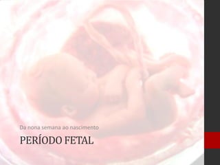 PERÍODO FETAL
Da nona semana ao nascimento
 
