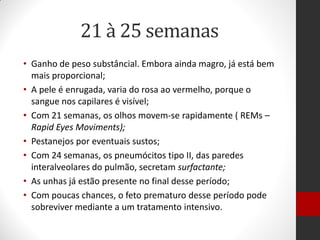21 à 25 semanas
• Ganho de peso substâncial. Embora ainda magro, já está bem
mais proporcional;
• A pele é enrugada, varia do rosa ao vermelho, porque o
sangue nos capilares é visível;
• Com 21 semanas, os olhos movem-se rapidamente ( REMs –
Rapid Eyes Moviments);
• Pestanejos por eventuais sustos;
• Com 24 semanas, os pneumócitos tipo II, das paredes
interalveolares do pulmão, secretam surfactante;
• As unhas já estão presente no final desse período;
• Com poucas chances, o feto prematuro desse período pode
sobreviver mediante a um tratamento intensivo.
 