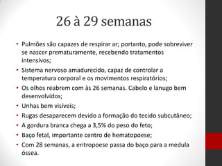 26 à 29 semanas
• Pulmões são capazes de respirar ar; portanto, pode sobreviver
se nascer prematuramente, recebendo tratamentos
intensivos;
• Sistema nervoso amadurecido, capaz de controlar a
temperatura corporal e os movimentos respiratórios;
• Os olhos reabrem com às 26 semanas. Cabelo e lanugo bem
desenvolvidos;
• Unhas bem visíveis;
• Rugas desaparecem devido a formação do tecido subcutâneo;
• A gordura branca chega a 3,5% do peso do feto;
• Baço fetal, importante centro de hematopoese;
• Com 28 semanas, a eritropoese passa do baço para a medula
óssea.
 
