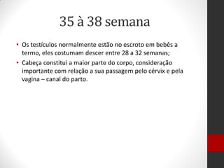 35 à 38 semana
• Os testículos normalmente estão no escroto em bebês a
termo, eles costumam descer entre 28 a 32 semanas;
• Cabeça constitui a maior parte do corpo, consideração
importante com relação a sua passagem pelo cérvix e pela
vagina – canal do parto.
 