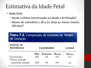 Estimativa da Idade Fetal
• Idade fetal:
• Desde a última menstruação ou desde a fertilização?
• Meses do calendário ( 28 a 31 dias) ou meses lunares
(28 dias)?
 