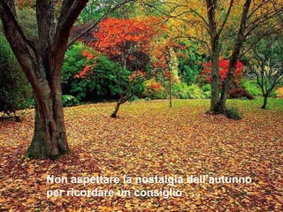 Non aspettare la nostalgia dell’autunno  per ricordare un consiglio . . . 