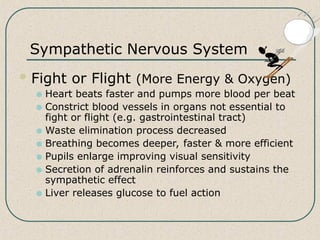 Non Auditory Effects of Noise exposure.ppt