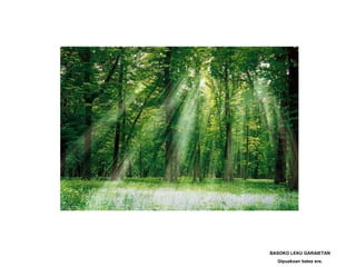 BASOKO LEKU GARAIETAN
  Gipuzkoan batez ere.
 