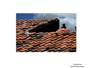 TEILATUETAN
Etxeen teilatuen gainean.
 
