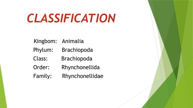NON CHORDATE ZOOLOGY visual data 3