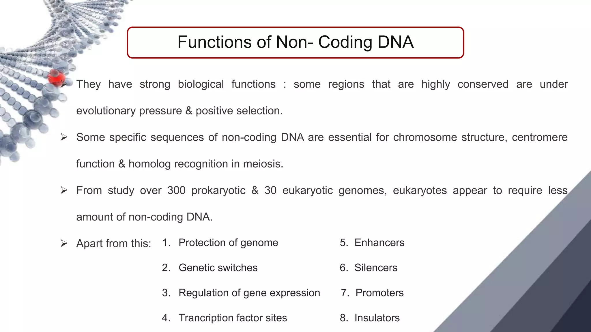 NON CODING DNA.pptx