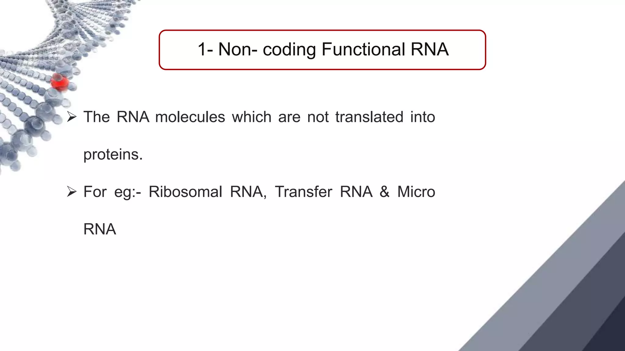 NON CODING DNA.pptx