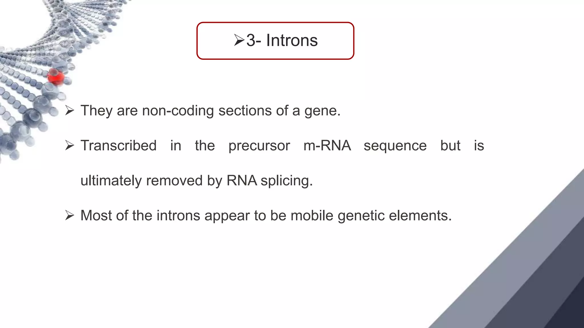 NON CODING DNA.pptx
