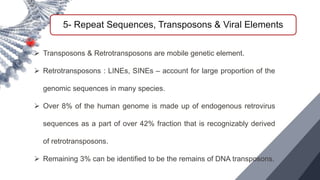 5- Repeat Sequences, Transposons & Viral Elements
 Transposons & Retrotransposons are mobile genetic element.
 Retrotransposons : LINEs, SINEs – account for large proportion of the
genomic sequences in many species.
 Over 8% of the human genome is made up of endogenous retrovirus
sequences as a part of over 42% fraction that is recognizably derived
of retrotransposons.
 Remaining 3% can be identified to be the remains of DNA transposons.
 