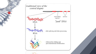 NON CODING DNA.pptx