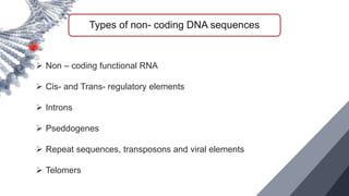 NON CODING DNA.pptx
