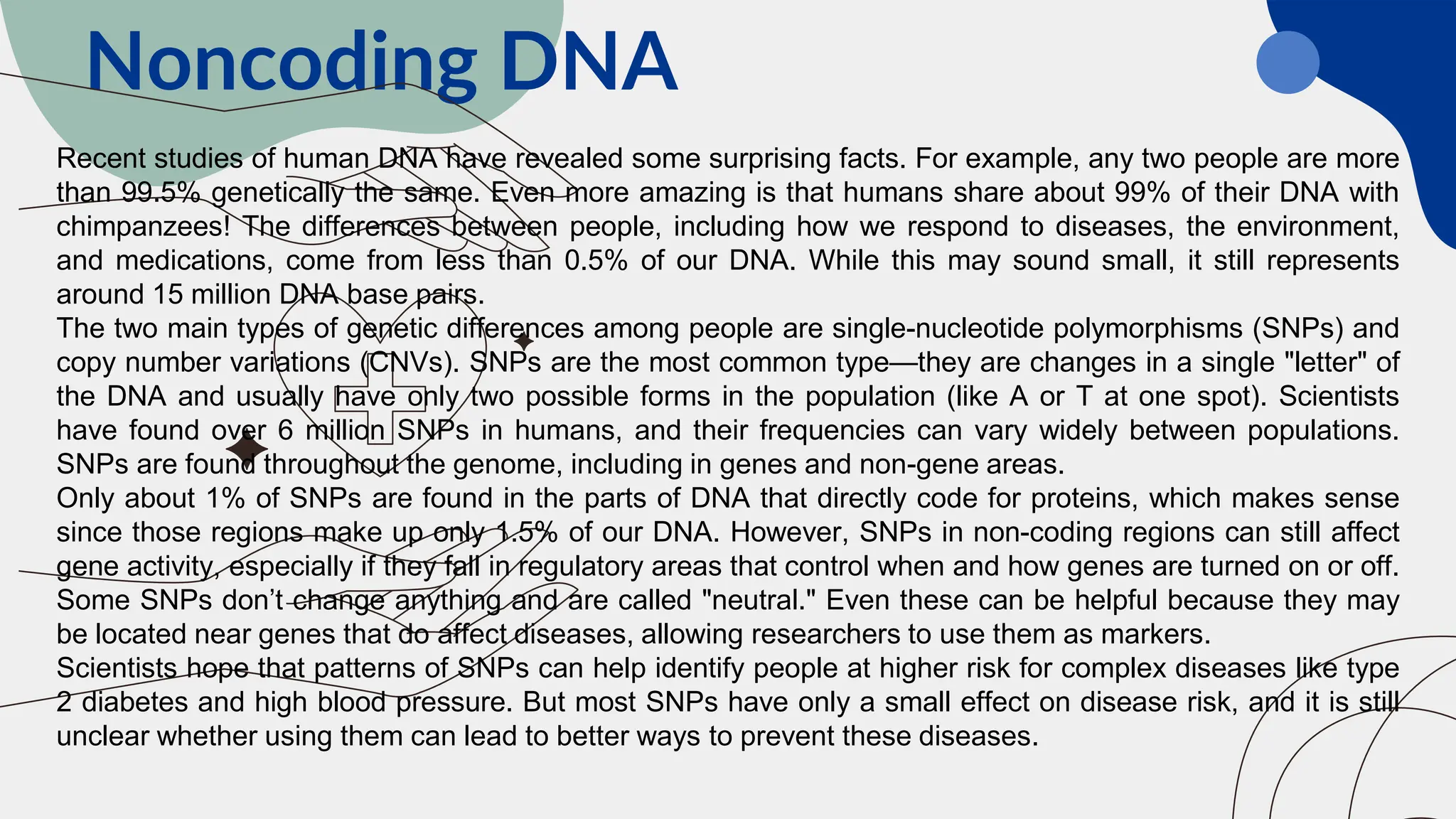 Noncoding DNA
Recent studies of human DNA have revealed some surprising facts. For example, any two people are more
than 99.5% genetically the same. Even more amazing is that humans share about 99% of their DNA with
chimpanzees! The differences between people, including how we respond to diseases, the environment,
and medications, come from less than 0.5% of our DNA. While this may sound small, it still represents
around 15 million DNA base pairs.
The two main types of genetic differences among people are single-nucleotide polymorphisms (SNPs) and
copy number variations (CNVs). SNPs are the most common type—they are changes in a single "letter" of
the DNA and usually have only two possible forms in the population (like A or T at one spot). Scientists
have found over 6 million SNPs in humans, and their frequencies can vary widely between populations.
SNPs are found throughout the genome, including in genes and non-gene areas.
Only about 1% of SNPs are found in the parts of DNA that directly code for proteins, which makes sense
since those regions make up only 1.5% of our DNA. However, SNPs in non-coding regions can still affect
gene activity, especially if they fall in regulatory areas that control when and how genes are turned on or off.
Some SNPs don’t change anything and are called "neutral." Even these can be helpful because they may
be located near genes that do affect diseases, allowing researchers to use them as markers.
Scientists hope that patterns of SNPs can help identify people at higher risk for complex diseases like type
2 diabetes and high blood pressure. But most SNPs have only a small effect on disease risk, and it is still
unclear whether using them can lead to better ways to prevent these diseases.
 