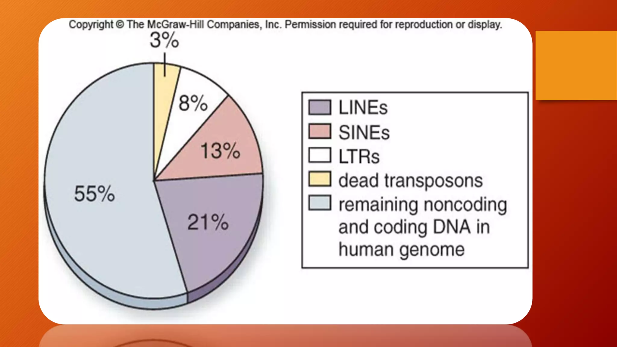 Non – coding dna presentation | PPTX | Genetics | Science