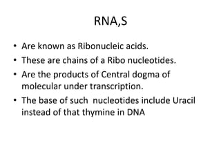 RNA,S
• Are known as Ribonucleic acids.
• These are chains of a Ribo nucleotides.
• Are the products of Central dogma of
molecular under transcription.
• The base of such nucleotides include Uracil
instead of that thymine in DNA
 